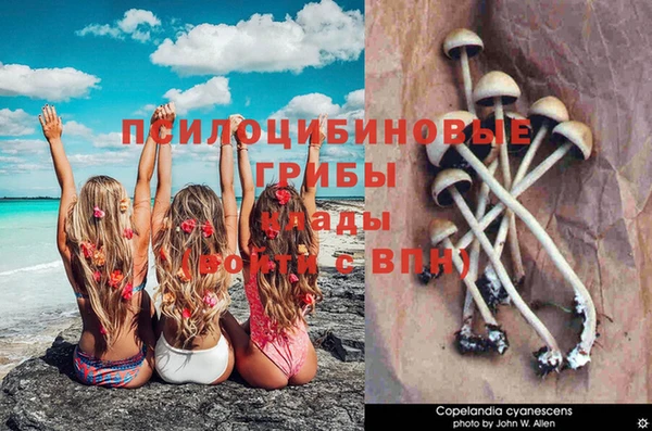 героин Алзамай