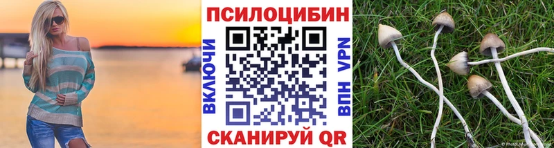 Галлюциногенные грибы Psilocybe  блэк спрут зеркало  мориарти как зайти  Дзержинский 