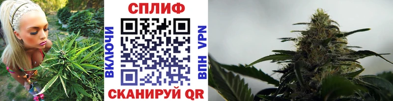 Шишки марихуана конопля  мега ссылка  Дзержинский 